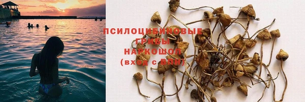 мескалин Армянск