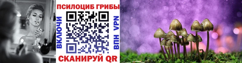 закладка  Сальск  Галлюциногенные грибы GOLDEN TEACHER 